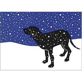 Dog And Snow 12 Note Card Set